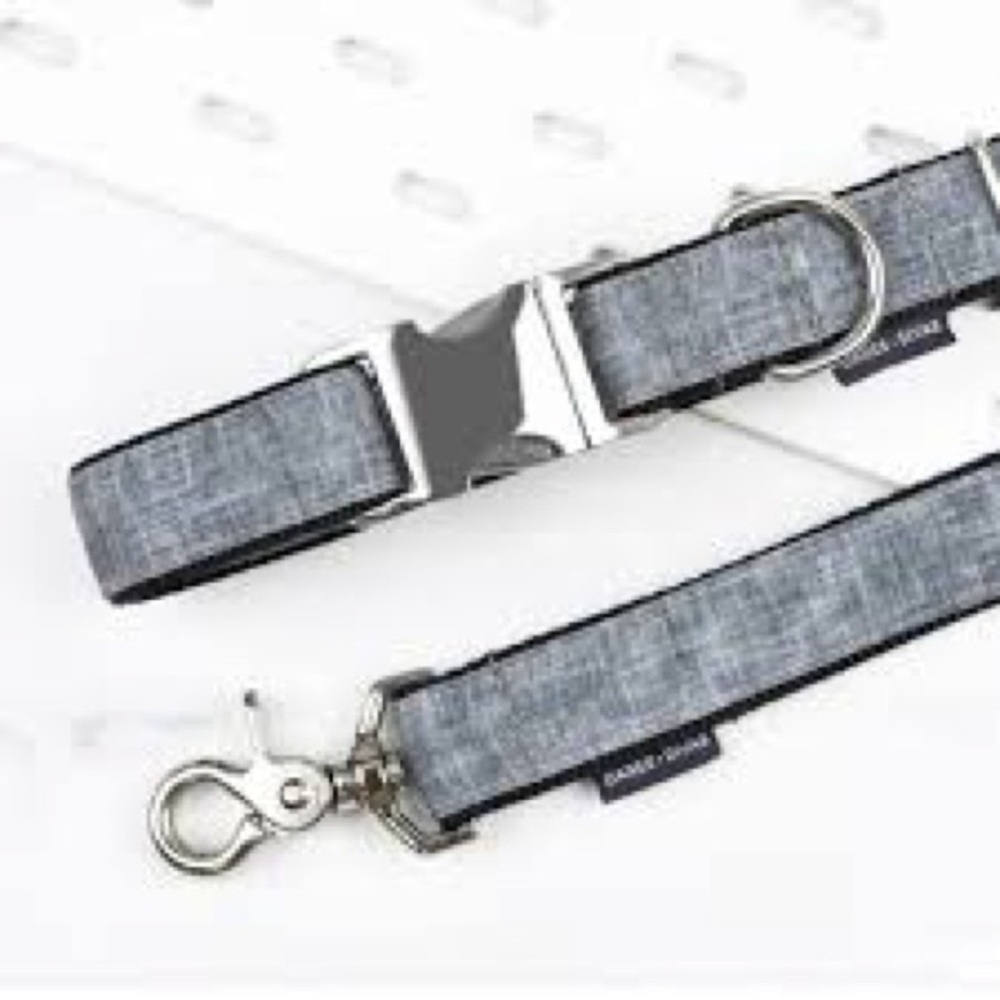 DANES & DIVAS Premium Canvas Charcoal Dog Collar and Leash Set